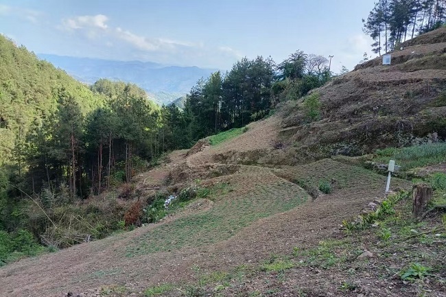 药简力专 道地采集